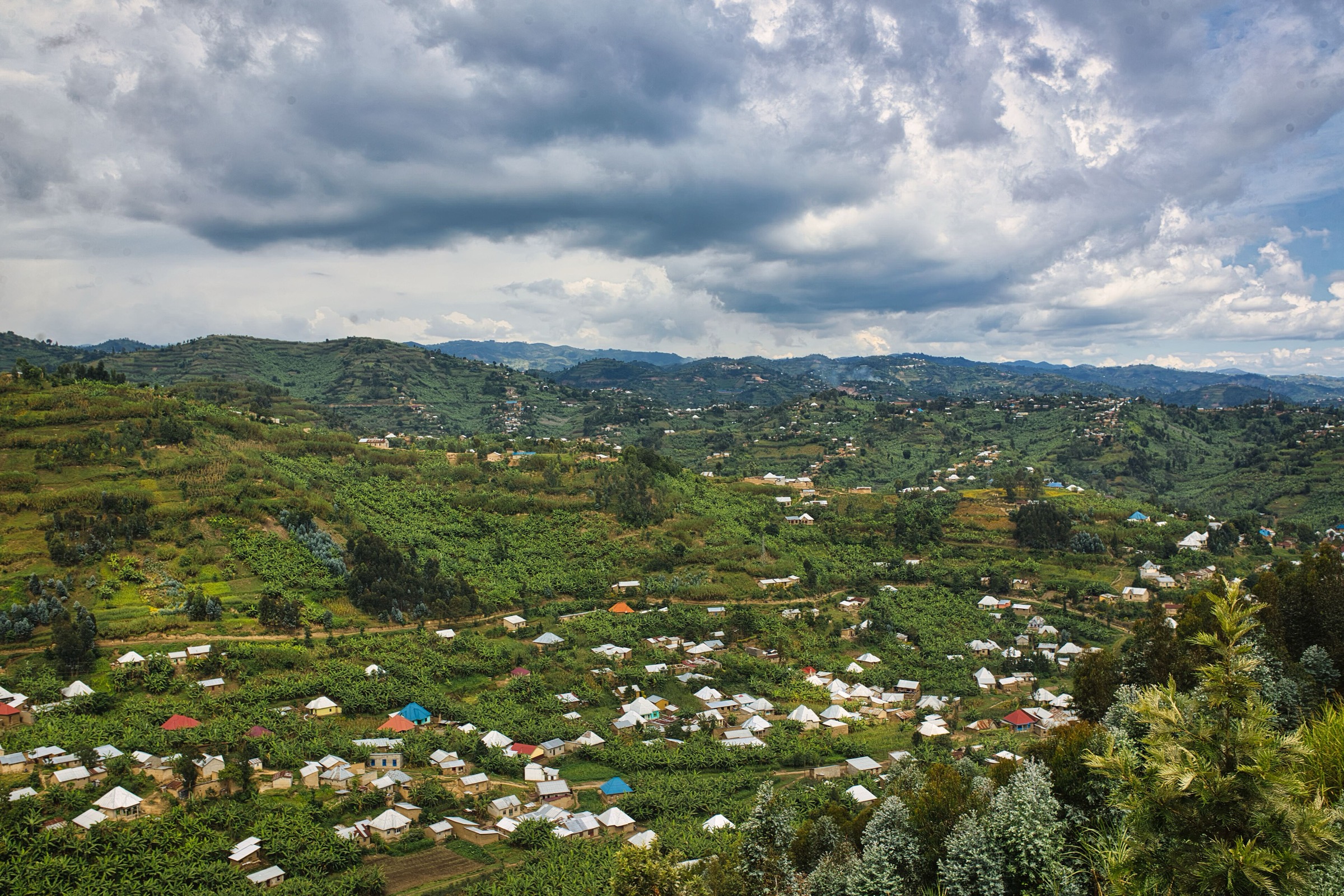 Hills of Nyamagabe