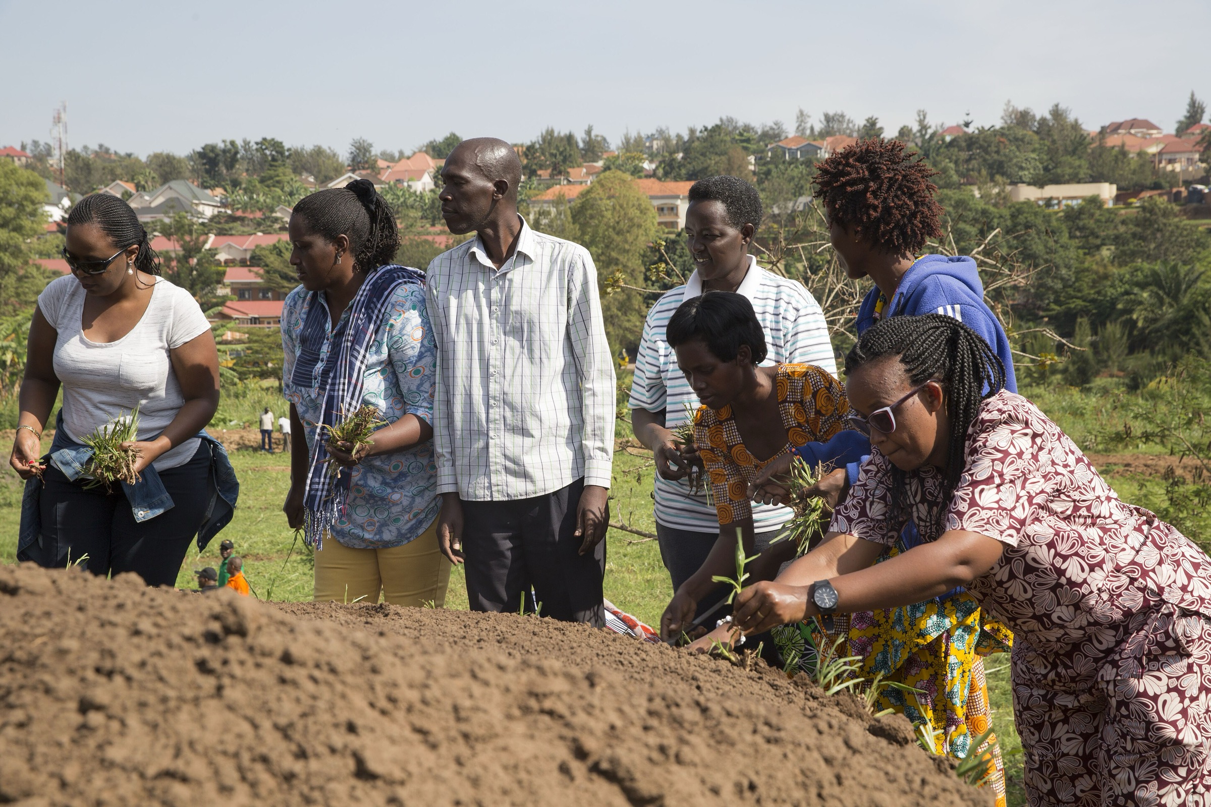 Community members planting seedlings together during Umuganda in Kigali